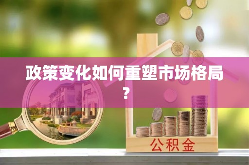 武都政策变化如何重塑市场格局？