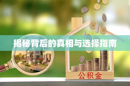 武都揭秘背后的真相与选择指南