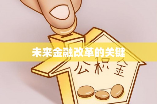 武都未来金融改革的关键