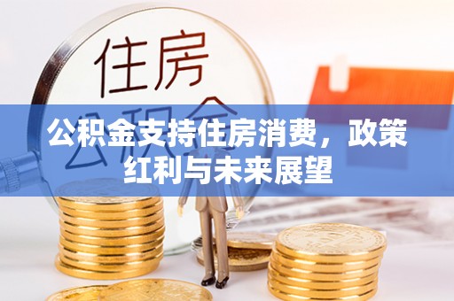 武都公积金支持住房消费，政策红利与未来展望