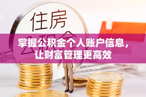 武都掌握公积金个人账户信息，让财富管理更高效