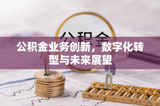 武都公积金业务创新，数字化转型与未来展望