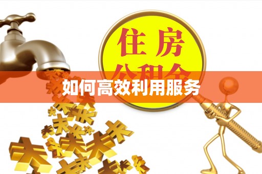 武都如何高效利用服务