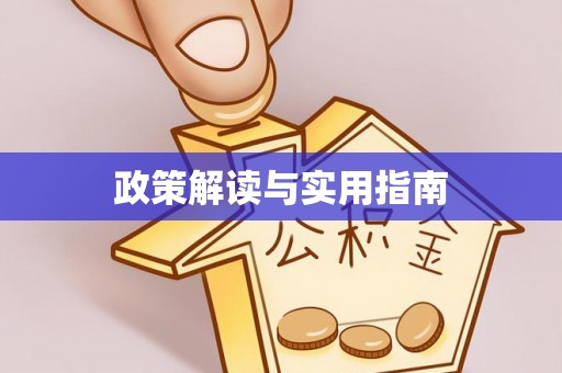 武都政策解读与实用指南