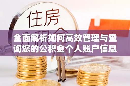 武都全面解析如何高效管理与查询您的公积金个人账户信息