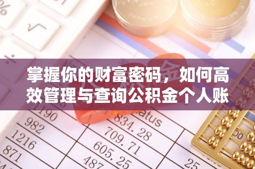 武都掌握你的财富密码，如何高效管理与查询公积金个人账户信息