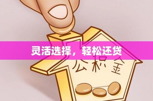 武都灵活选择，轻松还贷