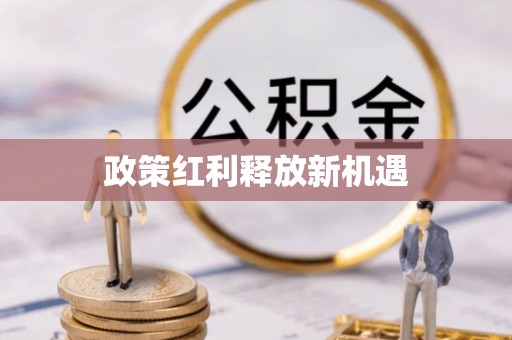 武都政策红利释放新机遇