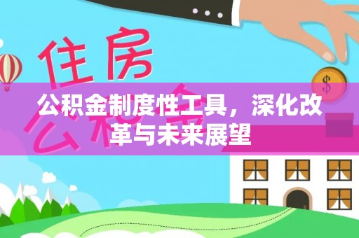 武都公积金制度性工具，深化改革与未来展望
