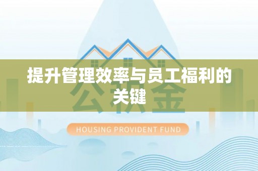 武都提升管理效率与员工福利的关键