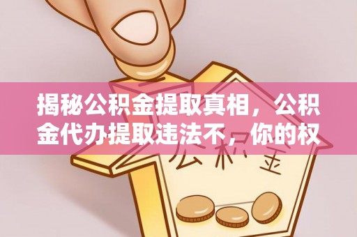 武都揭秘公积金提取真相，公积金代办提取违法不，你的权益如何保障？
