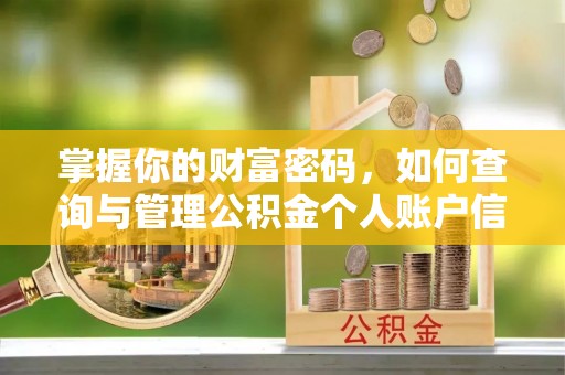 武都掌握你的财富密码，如何查询与管理公积金个人账户信息