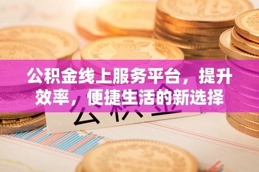 武都公积金线上服务平台，提升效率，便捷生活的新选择