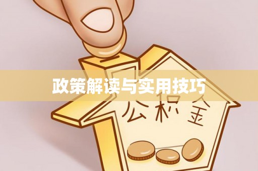武都政策解读与实用技巧