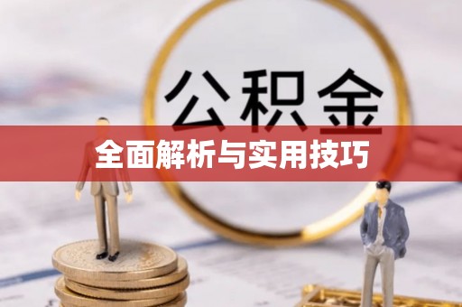 武都全面解析与实用技巧