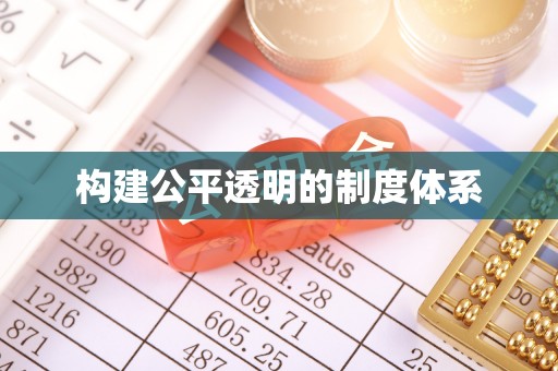 武都构建公平透明的制度体系