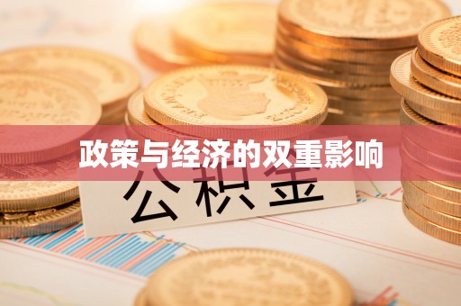 武都政策与经济的双重影响