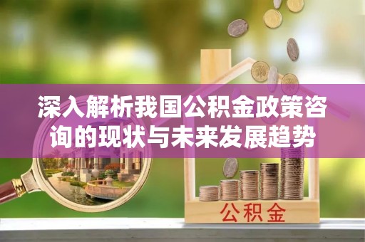 武都深入解析我国公积金政策咨询的现状与未来发展趋势