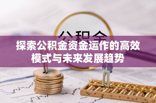 武都探索公积金资金运作的高效模式与未来发展趋势