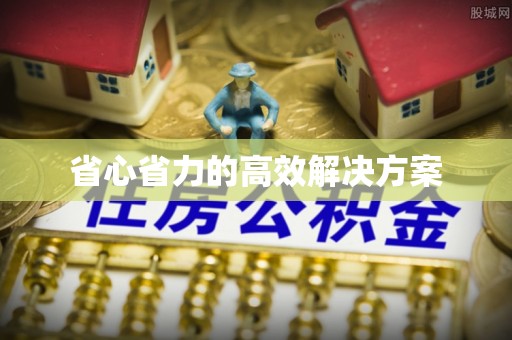 武都省心省力的高效解决方案