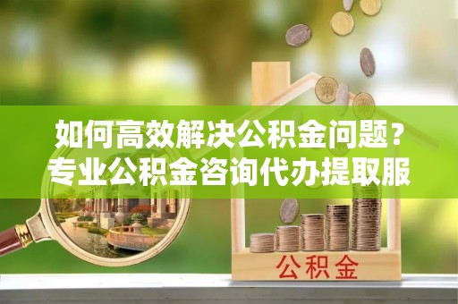 武都如何高效解决公积金问题？专业公积金咨询代办提取服务来帮你