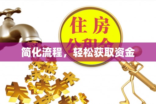 武都简化流程，轻松获取资金