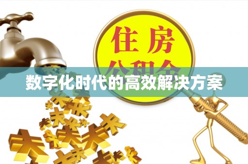 武都数字化时代的高效解决方案
