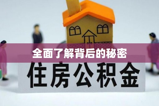 武都全面了解背后的秘密