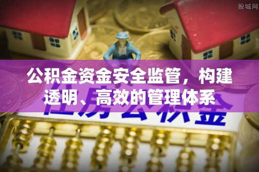 武都公积金资金安全监管，构建透明、高效的管理体系