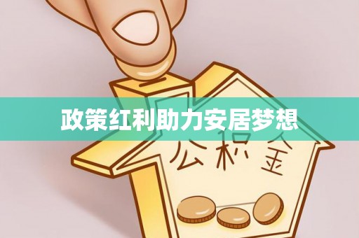 武都政策红利助力安居梦想