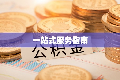 武都一站式服务指南