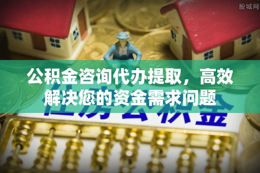 武都公积金咨询代办提取，高效解决您的资金需求问题