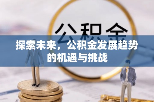 武都探索未来，公积金发展趋势的机遇与挑战