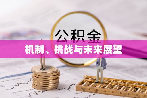 武都机制、挑战与未来展望