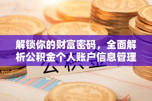 武都解锁你的财富密码，全面解析公积金个人账户信息管理与优化