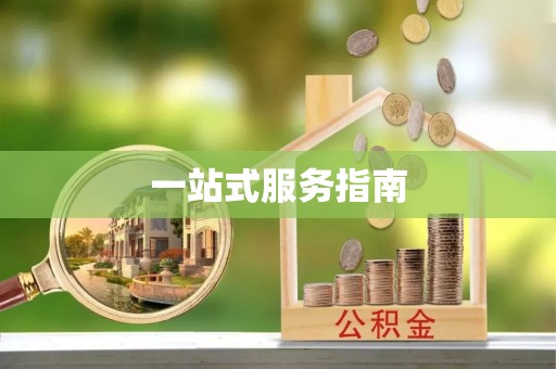 武都一站式服务指南