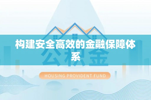 武都构建安全高效的金融保障体系