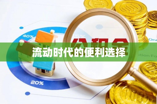 武都流动时代的便利选择