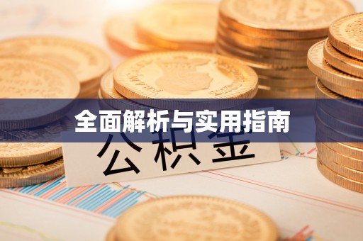 武都全面解析与实用指南